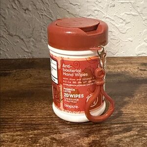 Biopure Pumpkin Spice Hand Wipes